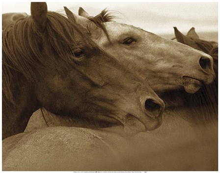 Brothers by Tony Stromberg art print