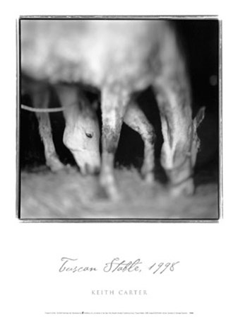 Tuscan Stable, 1998 art print
