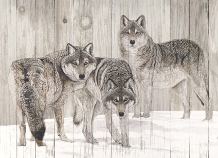 Three Grey Wolves on Wood by Jacquie Vaux art print