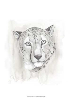 Big Cat Study I by Grace Popp art print