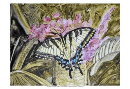 Butterfly in Nature II by B. Lynnsy art print
