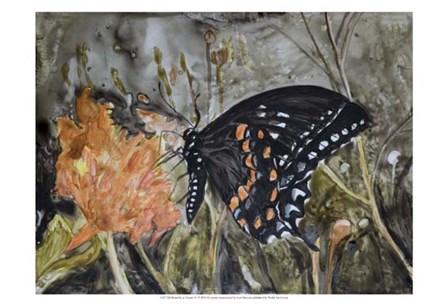 Butterfly in Nature IV by B. Lynnsy art print