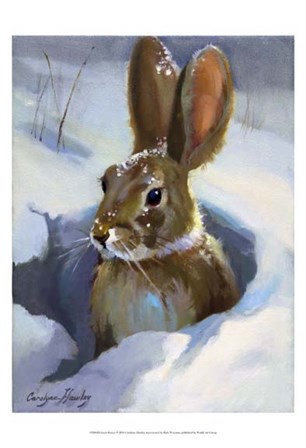 Snow Bunny by Carolyne Hawley art print