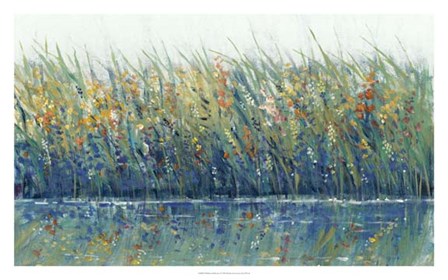 Wildflower Reflection I by Timothy O&#39;Toole art print