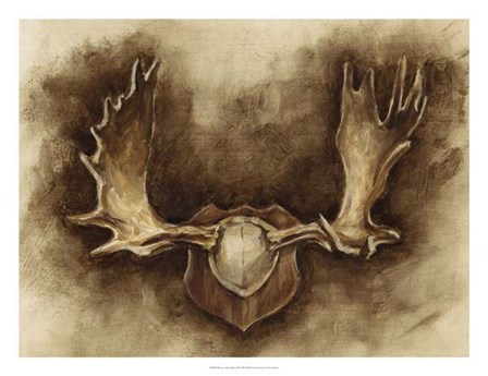 Rustic Antler Mount II by Ethan Harper art print