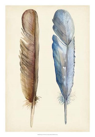 Plumage I by Alicia Ludwig art print