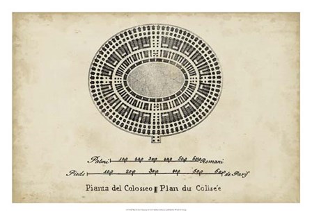 Plan for the Colosseum art print