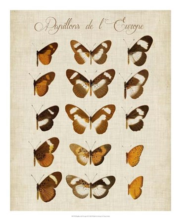 Papillons de L&#39;Europe IV by Vision Studio art print