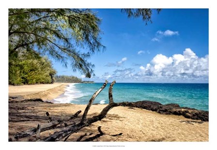 Lumahai Beach by Danny Head art print