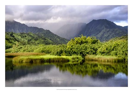 Coastal Marsh III by Danny Head art print