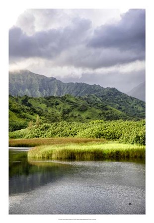 Coastal Marsh Triptych II by Danny Head art print