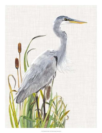 Waterbirds &amp; Cattails I by Naomi McCavitt art print