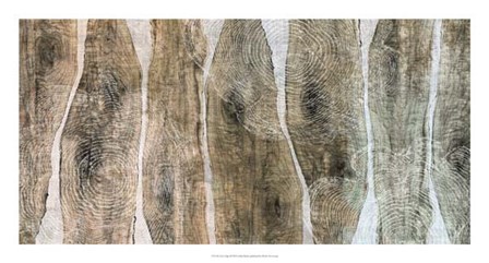 Live Edge II by John Butler art print