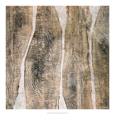 Live Edge III by John Butler art print