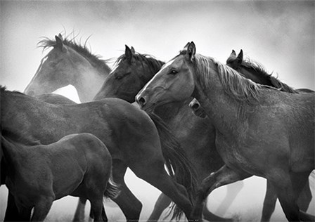Messengers art print
