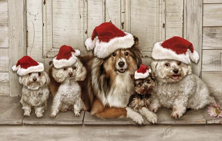 Dogs Christmas by Liz Zernich art print