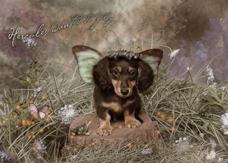 Fairy Dog by Liz Zernich art print