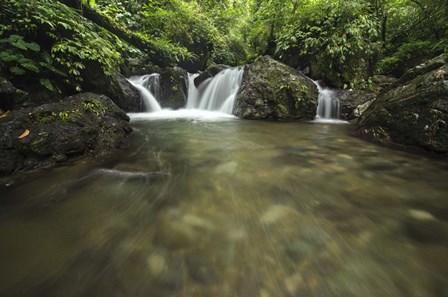 Lake Sebu by Michael de Guzman art print