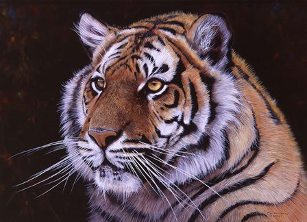 Bengal Tiger by Pip McGarry art print