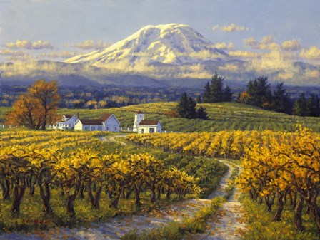 Autumn Vineyards by Randy Van Beek art print