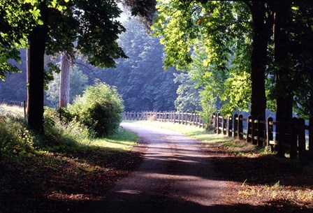 Path Into the Woods, Burgandy, France 99 by Monte Nagler art print