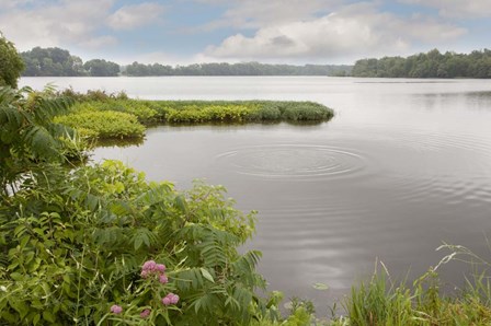 St. Joseph River, Centreville, Michigan 10 by Monte Nagler art print