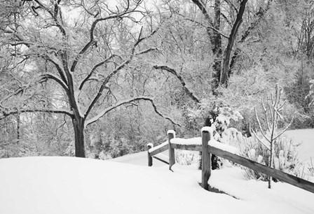 Snowscape, Farmington Hills, Michigan 08 by Monte Nagler art print