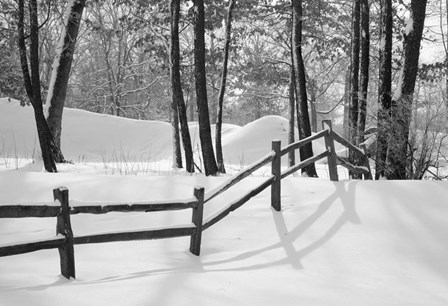 Snow Scenes 24 by Monte Nagler art print