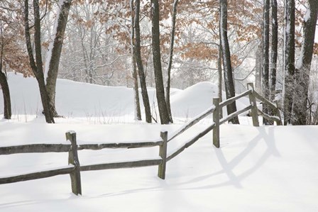 Winter Fence &amp; Shadow, Farmington Hills, Michigan 09 by Monte Nagler art print