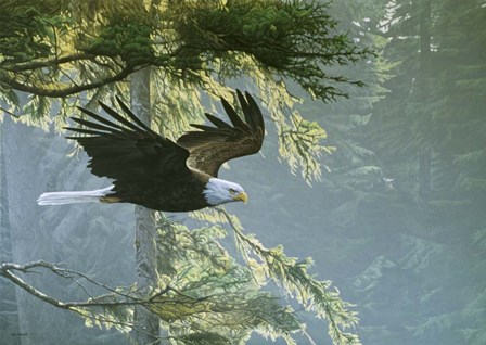 Forest Flight / Eagle by Ron Parker art print