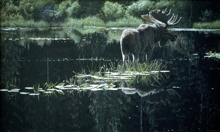 Summer Pond by Ron Parker art print