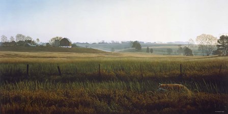 Autumn Fields - Red Fox by Ron Parker art print