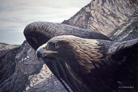 Golden Eagle 2 by Ron Parker art print