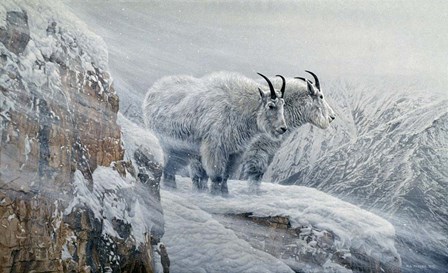 Winter&#39;s Fury Mountain Goat by Ron Parker art print