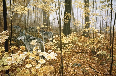 Autumn Maples - Wolves by Ron Parker art print