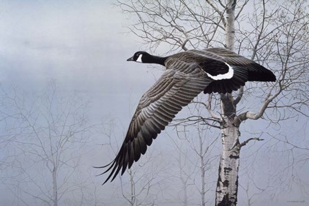 Winter Flight by Ron Parker art print