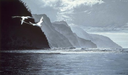 White Tailed Tropic Birds by Ron Parker art print