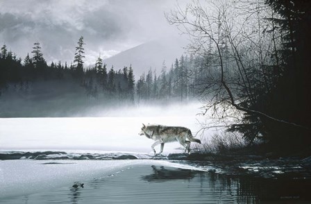 Spring Mist - Gray Wolf by Ron Parker art print
