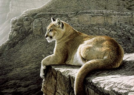 Rimrock - Cougar by Ron Parker art print