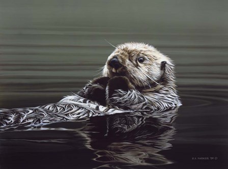 Just Resting - Sea Otter by Ron Parker art print