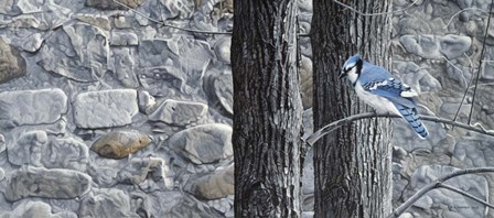 Autumn Blue Jay by Ron Parker art print