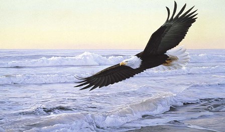 Ocean Dawn- Eagle by Ron Parker art print