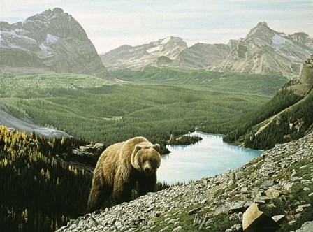 Lake O&#39;Hara by Ron Parker art print