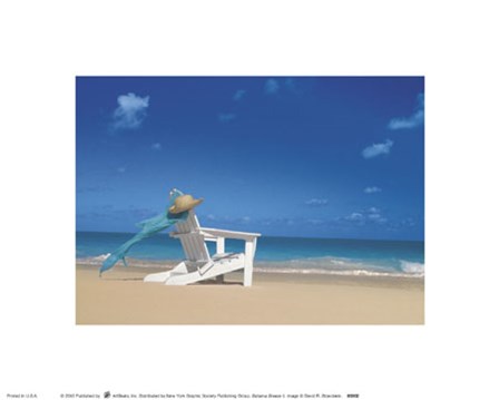 Bahama Breeze II art print