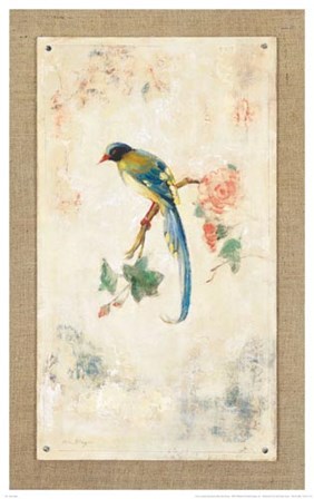 Blue Magpie by Jillian David Design art print