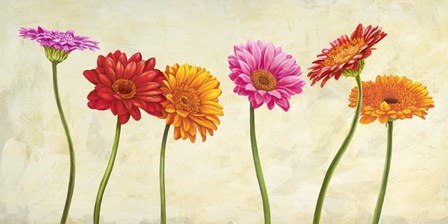 Gerberas by Cynthia Ann art print