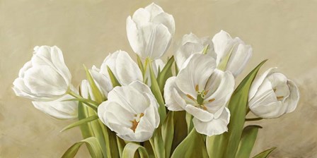 Tulipani Bianchi by Serena Biffi art print