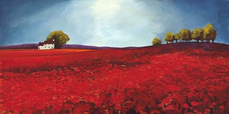 Field of Poppies by Philip Bloom art print
