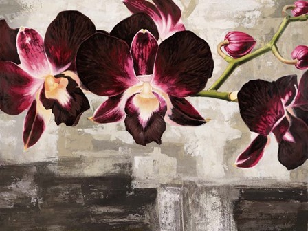 Velvet Orchids by Shin Mills art print