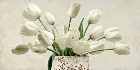 Bouquet Blanc by Leonardo Sanna art print